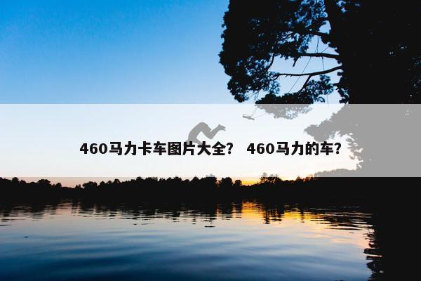 460马力卡车图片大全？ 460马力的车？