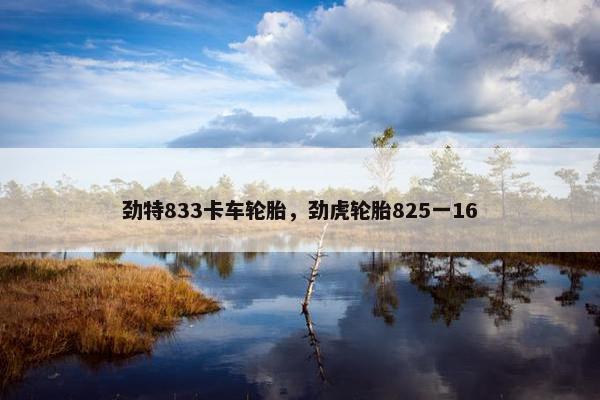 劲特833卡车轮胎，劲虎轮胎825一16