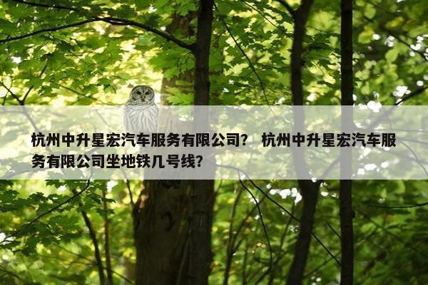 杭州中升星宏汽车服务有限公司？ 杭州中升星宏汽车服务有限公司坐地铁几号线？