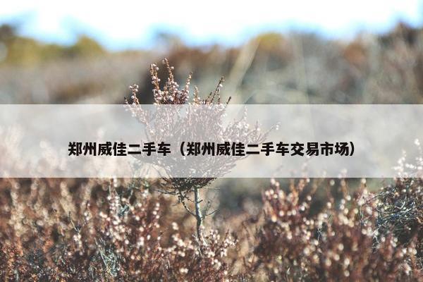 郑州威佳二手车（郑州威佳二手车交易市场）