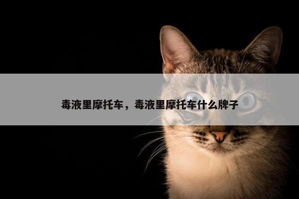 毒液里摩托车，毒液里摩托车什么牌子