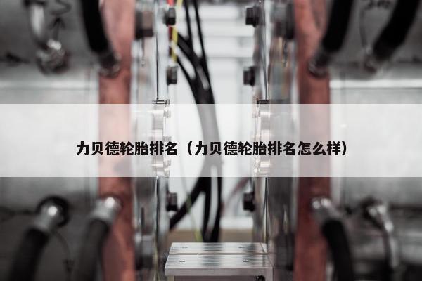 力贝德轮胎排名（力贝德轮胎排名怎么样）