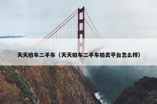 天天拍车二手车（天天拍车二手车拍卖平台怎么样）