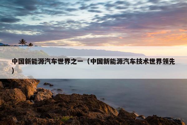 中国新能源汽车世界之一（中国新能源汽车技术世界领先）