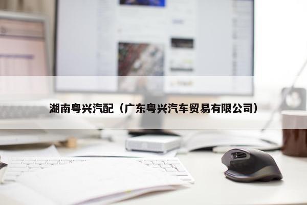 湖南粤兴汽配（广东粤兴汽车贸易有限公司）