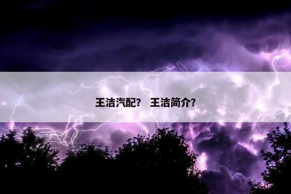 王洁汽配？ 王洁简介？