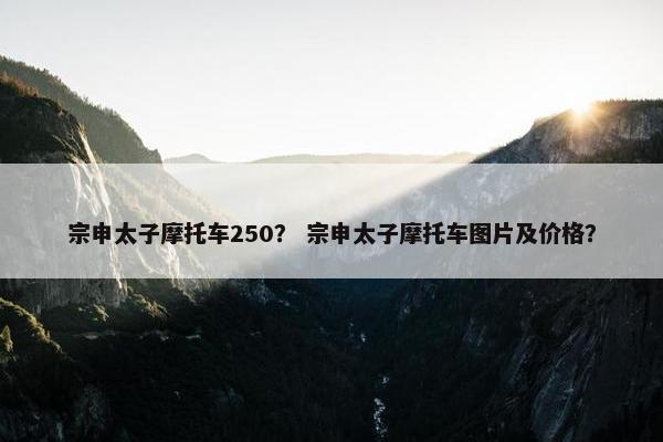 宗申太子摩托车250？ 宗申太子摩托车图片及价格？