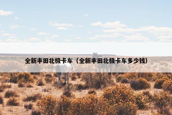 全新丰田北极卡车（全新丰田北极卡车多少钱）