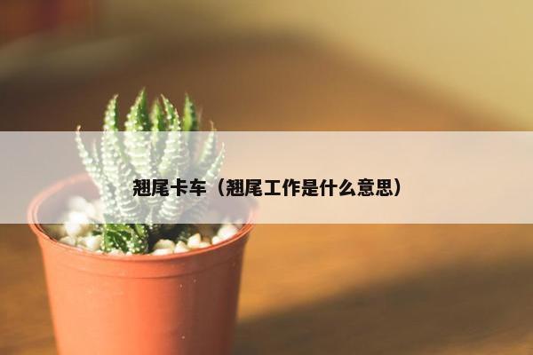 翘尾卡车（翘尾工作是什么意思）