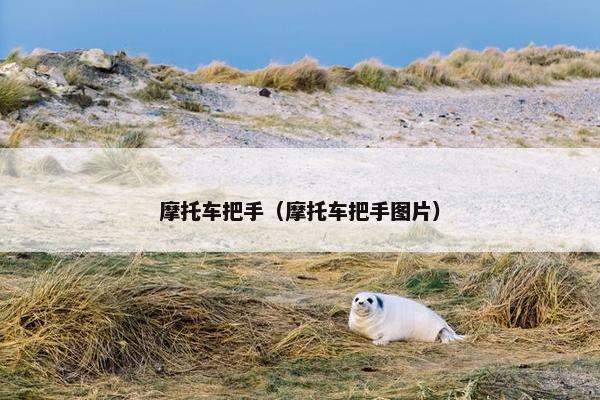 摩托车把手（摩托车把手图片）