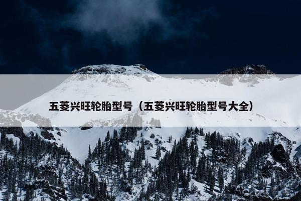 五菱兴旺轮胎型号（五菱兴旺轮胎型号大全）