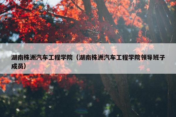 湖南株洲汽车工程学院（湖南株洲汽车工程学院领导班子成员）