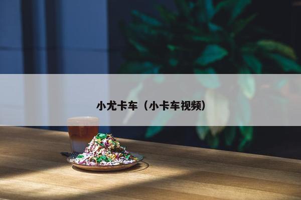 小尤卡车（小卡车视频）