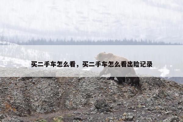 买二手车怎么看，买二手车怎么看出险记录