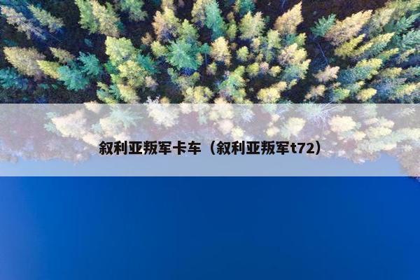 叙利亚叛军卡车（叙利亚叛军t72）