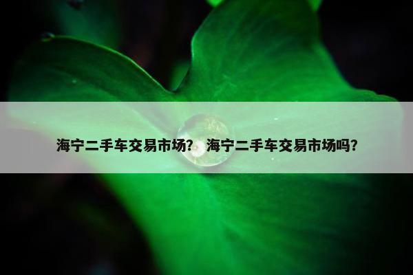 海宁二手车交易市场？ 海宁二手车交易市场吗？
