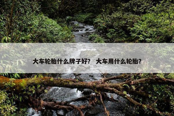 大车轮胎什么牌子好？ 大车用什么轮胎？