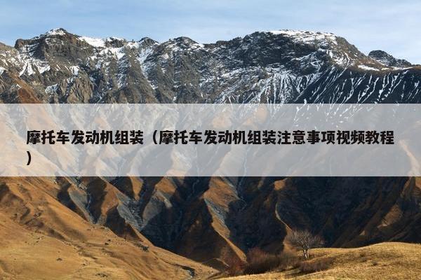 摩托车发动机组装（摩托车发动机组装注意事项视频教程）