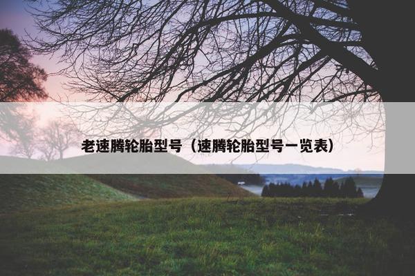 老速腾轮胎型号（速腾轮胎型号一览表）