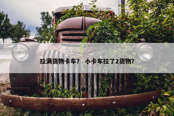 拉满货物卡车？ 小卡车拉了2货物？