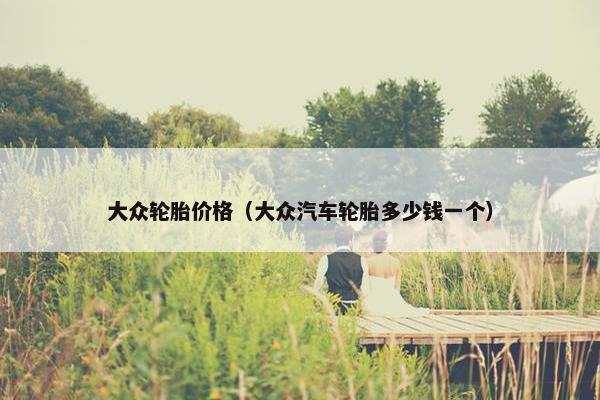 大众轮胎价格（大众汽车轮胎多少钱一个）