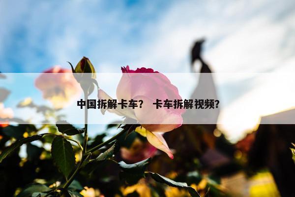 中国拆解卡车？ 卡车拆解视频？
