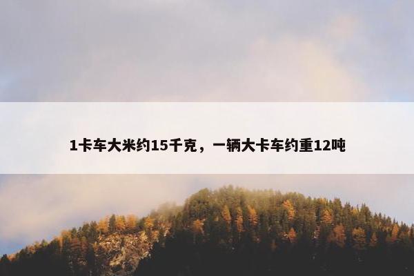 1卡车大米约15千克，一辆大卡车约重12吨