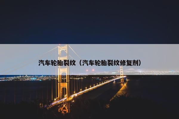 汽车轮胎裂纹（汽车轮胎裂纹修复剂）