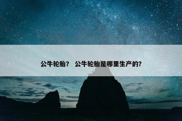 公牛轮胎？ 公牛轮胎是哪里生产的？
