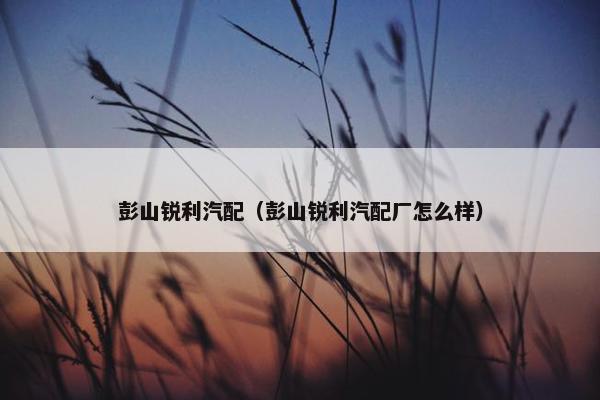 彭山锐利汽配（彭山锐利汽配厂怎么样）