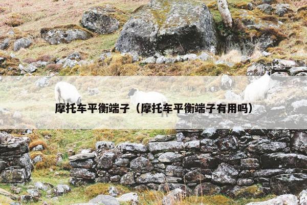 摩托车平衡端子（摩托车平衡端子有用吗）