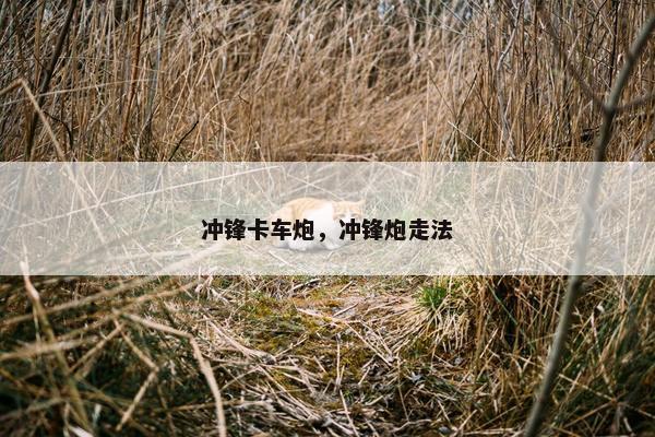 冲锋卡车炮，冲锋炮走法