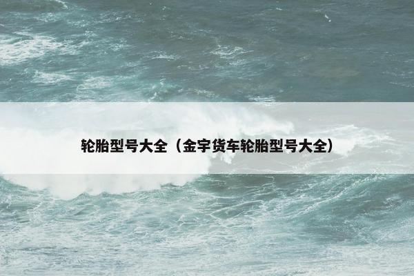 轮胎型号大全（金宇货车轮胎型号大全）