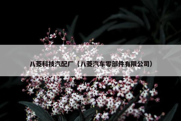 八菱科技汽配厂（八菱汽车零部件有限公司）