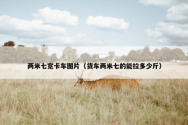 两米七宽卡车图片（货车两米七的能拉多少斤）