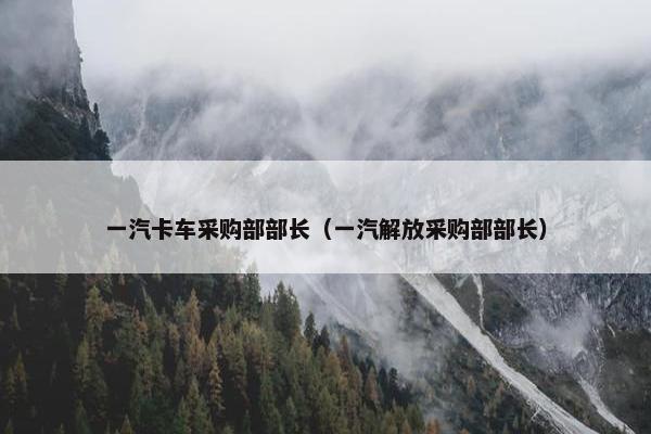 一汽卡车采购部部长（一汽解放采购部部长）