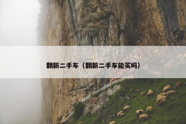 翻新二手车（翻新二手车能买吗）