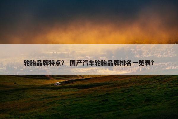轮胎品牌特点？ 国产汽车轮胎品牌排名一览表？