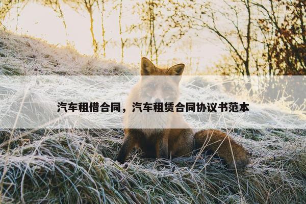 汽车租借合同，汽车租赁合同协议书范本