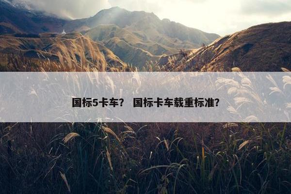 国标5卡车？ 国标卡车载重标准？