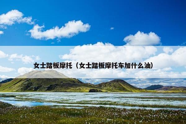 女士踏板摩托（女士踏板摩托车加什么油）