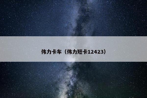 伟力卡车（伟力短卡12423）
