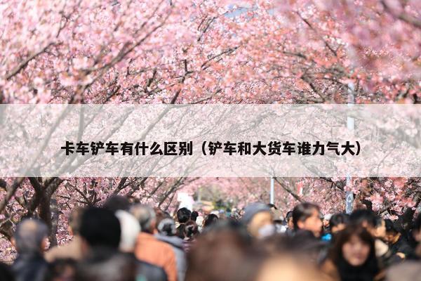 卡车铲车有什么区别（铲车和大货车谁力气大）