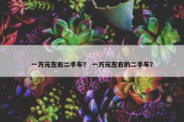 一万元左右二手车？ 一万元左右的二手车？