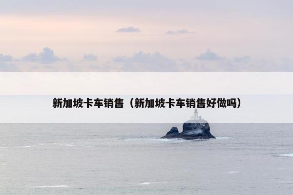 新加坡卡车销售（新加坡卡车销售好做吗）