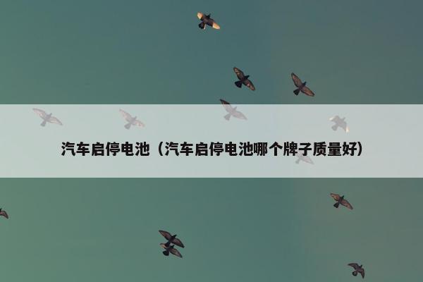 汽车启停电池（汽车启停电池哪个牌子质量好）