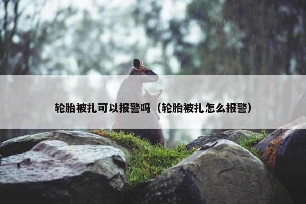 轮胎被扎可以报警吗（轮胎被扎怎么报警）