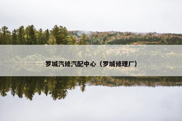 罗城汽修汽配中心（罗城修理厂）