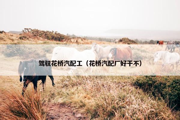 驾驭花桥汽配工（花桥汽配厂好干不）