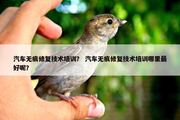 汽车无痕修复技术培训？ 汽车无痕修复技术培训哪里最好呢？